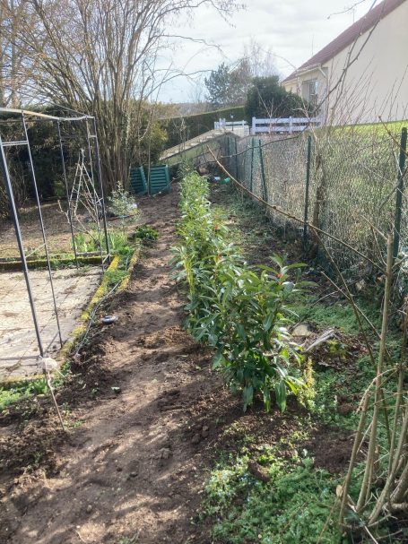 Plantation de haie